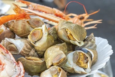 Image de Le Plateau la Coupole